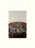Imperial Incense Ceremony Set